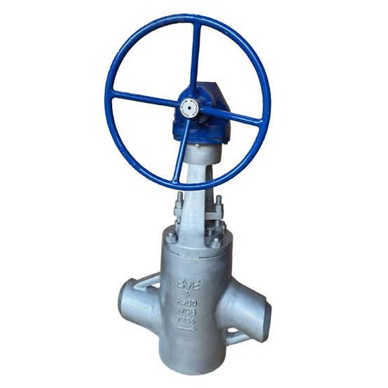Industrial globe valve